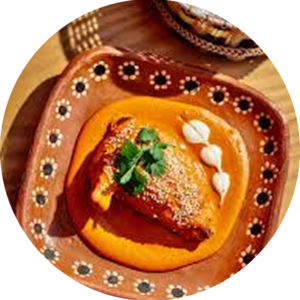 Airline Chicken Mole